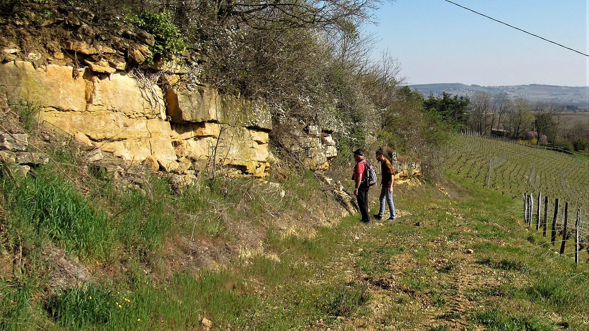 30 obseervation du paysage geologique au milieu des vignes