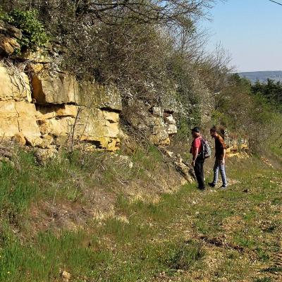 30 obseervation du paysage geologique au milieu des vignes